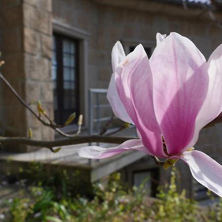 Гостевой дом Alvores Do Tempo - Quinta De Turismo Rural Каштру-Дайри Экстерьер фото