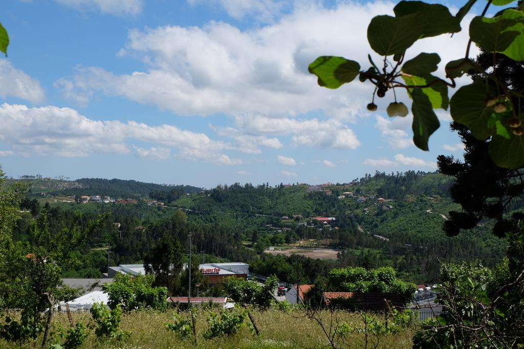 Гостевой дом Alvores Do Tempo - Quinta De Turismo Rural Каштру-Дайри Экстерьер фото