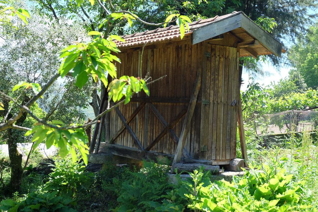 Гостевой дом Alvores Do Tempo - Quinta De Turismo Rural Каштру-Дайри Экстерьер фото