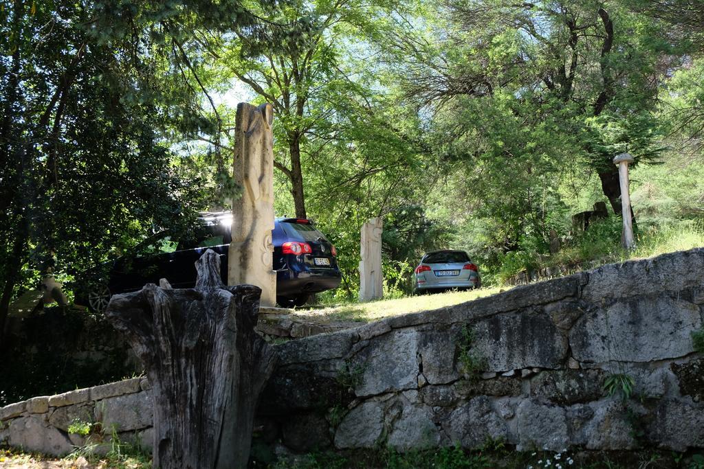 Гостевой дом Alvores Do Tempo - Quinta De Turismo Rural Каштру-Дайри Экстерьер фото