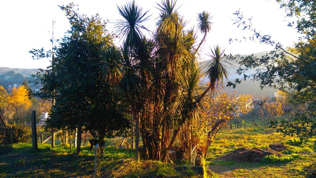 Гостевой дом Alvores Do Tempo - Quinta De Turismo Rural Каштру-Дайри Экстерьер фото