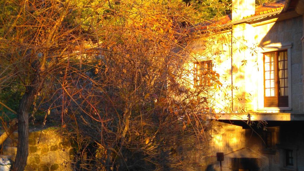 Гостевой дом Alvores Do Tempo - Quinta De Turismo Rural Каштру-Дайри Экстерьер фото