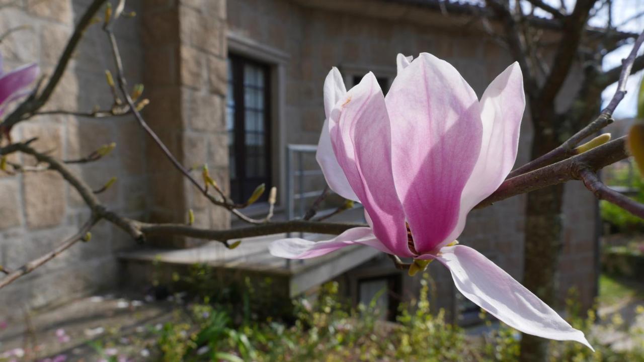 Гостевой дом Alvores Do Tempo - Quinta De Turismo Rural Каштру-Дайри Экстерьер фото